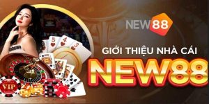 Một vài thông tin chung về New88 uy tín